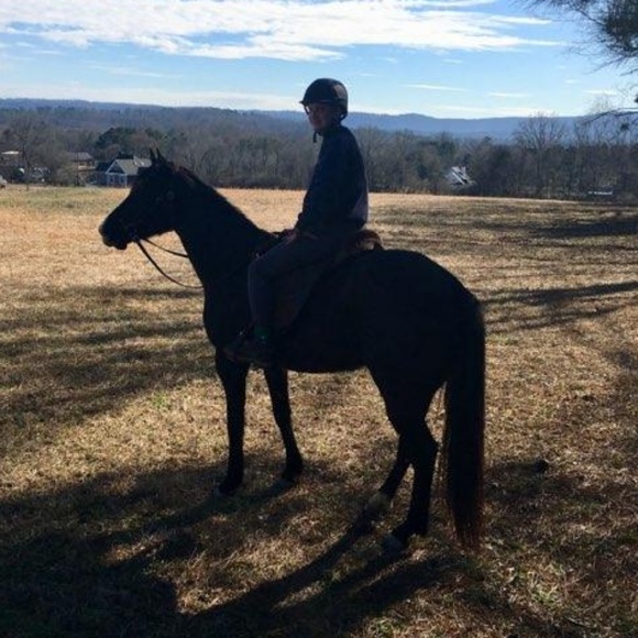 Meet your Posher, Marianne - Picture 1 of 11